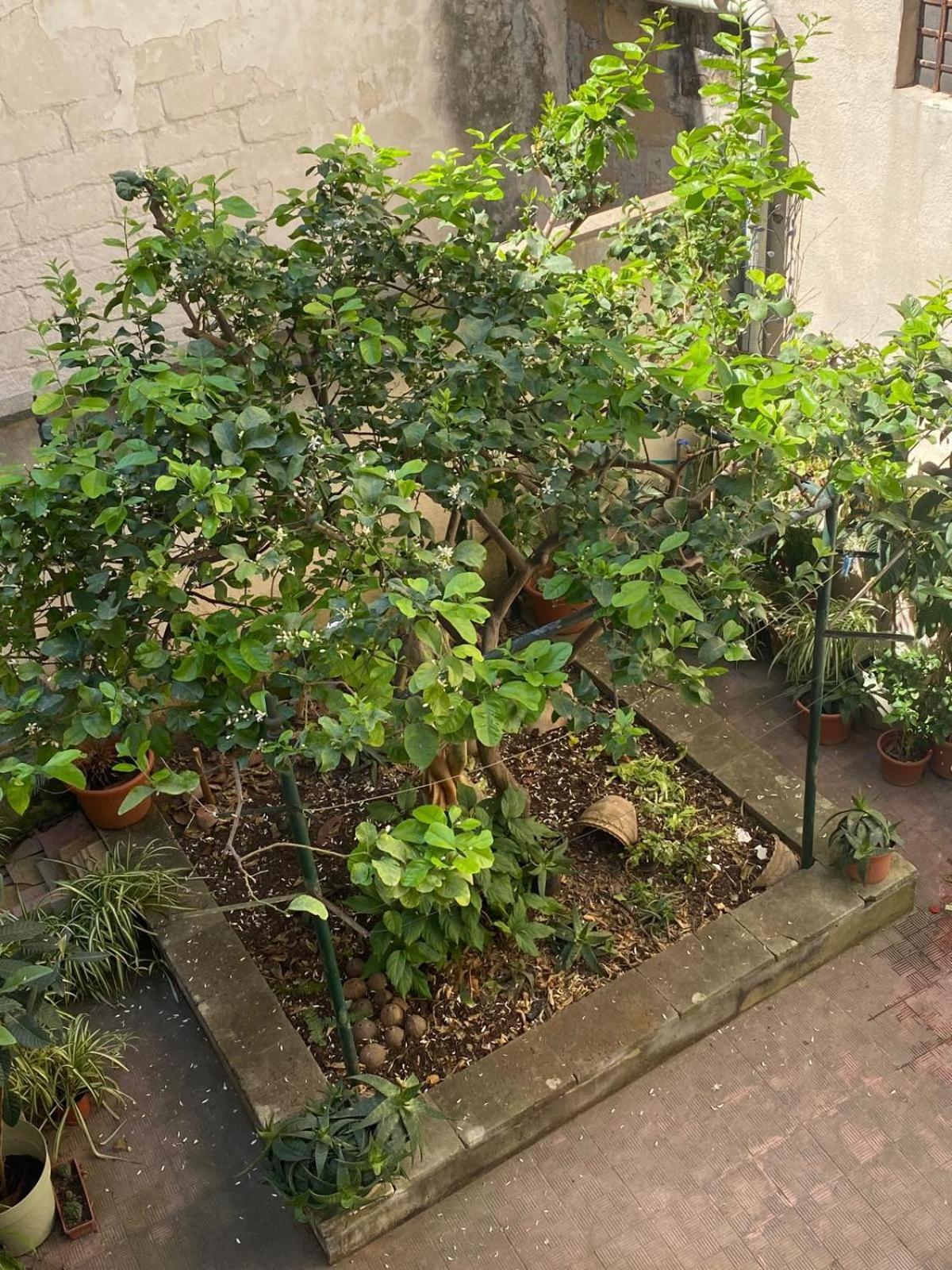 Casetta Zia Tetti Lecce Exterior foto